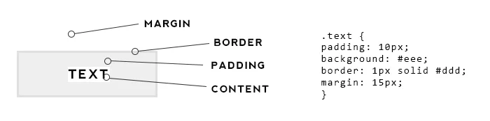 HTML for Beginners - The Box Model. The difference between margin and padding in CSS.