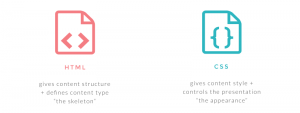 How to read and write CSS correctly - Basics of HTML/CSS #10