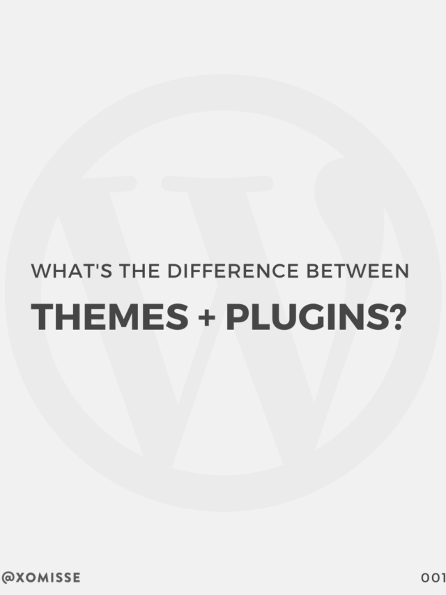 What's the difference between WordPress themes and plugins?